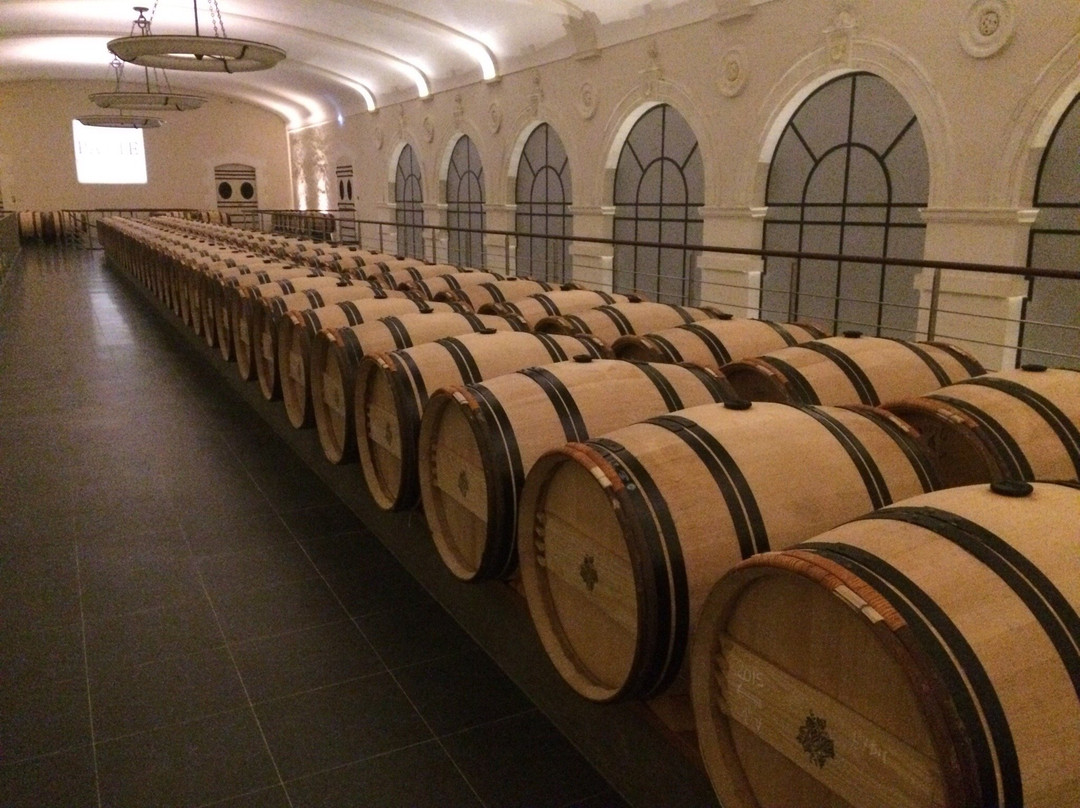 Chateau Pavie-圣埃美隆必去景点
