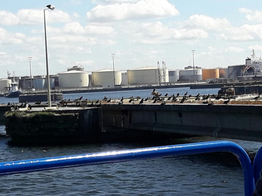 Le Texel-敦克尔克必去景点