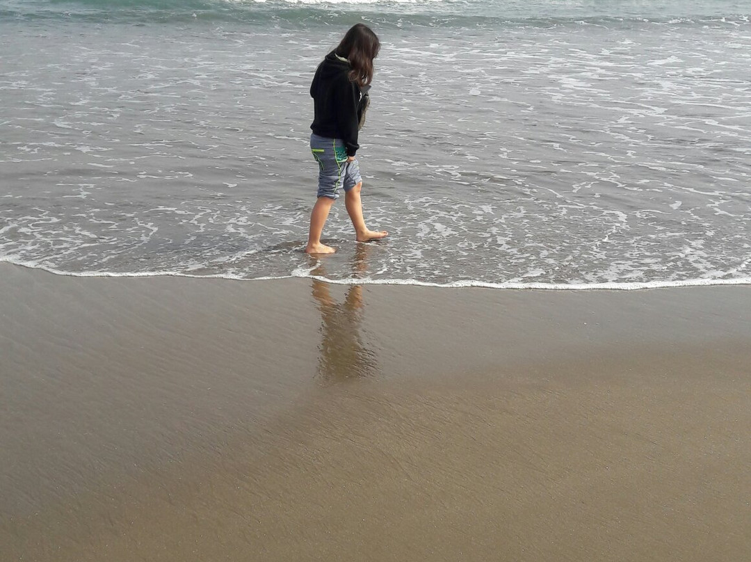 Las Ventanas-Puchuncavi必去景点