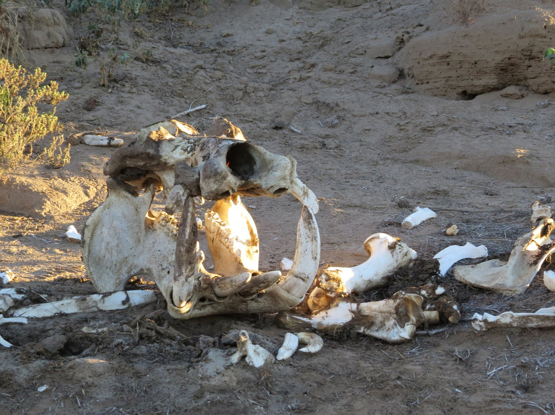 Olifants Wilderness Trail