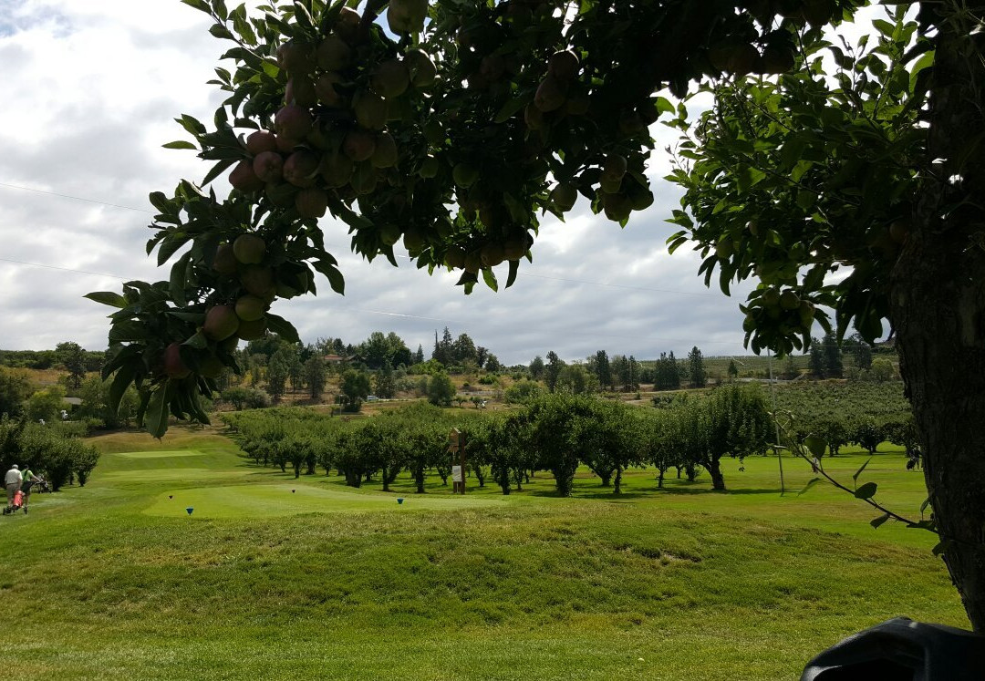 Orchard Greens Golf Club-基洛纳必去景点