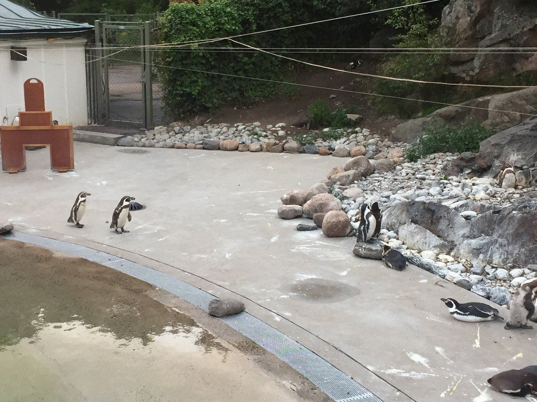 Children's Zoo-哥德堡必去景点