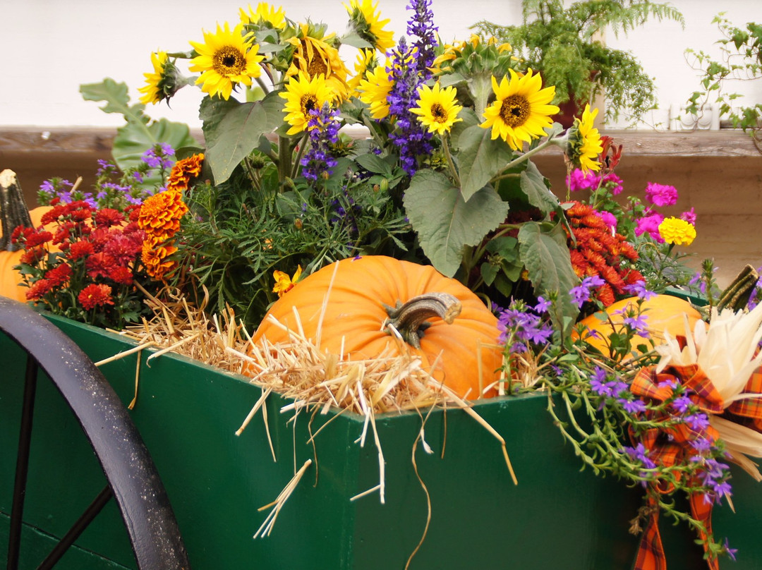 Santa Cruz County Fairgrounds-沃森维尔必去景点