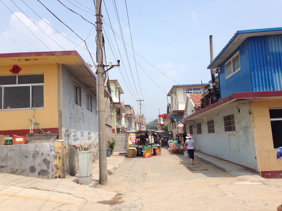 日照海滨森林公园-日照市必去景点