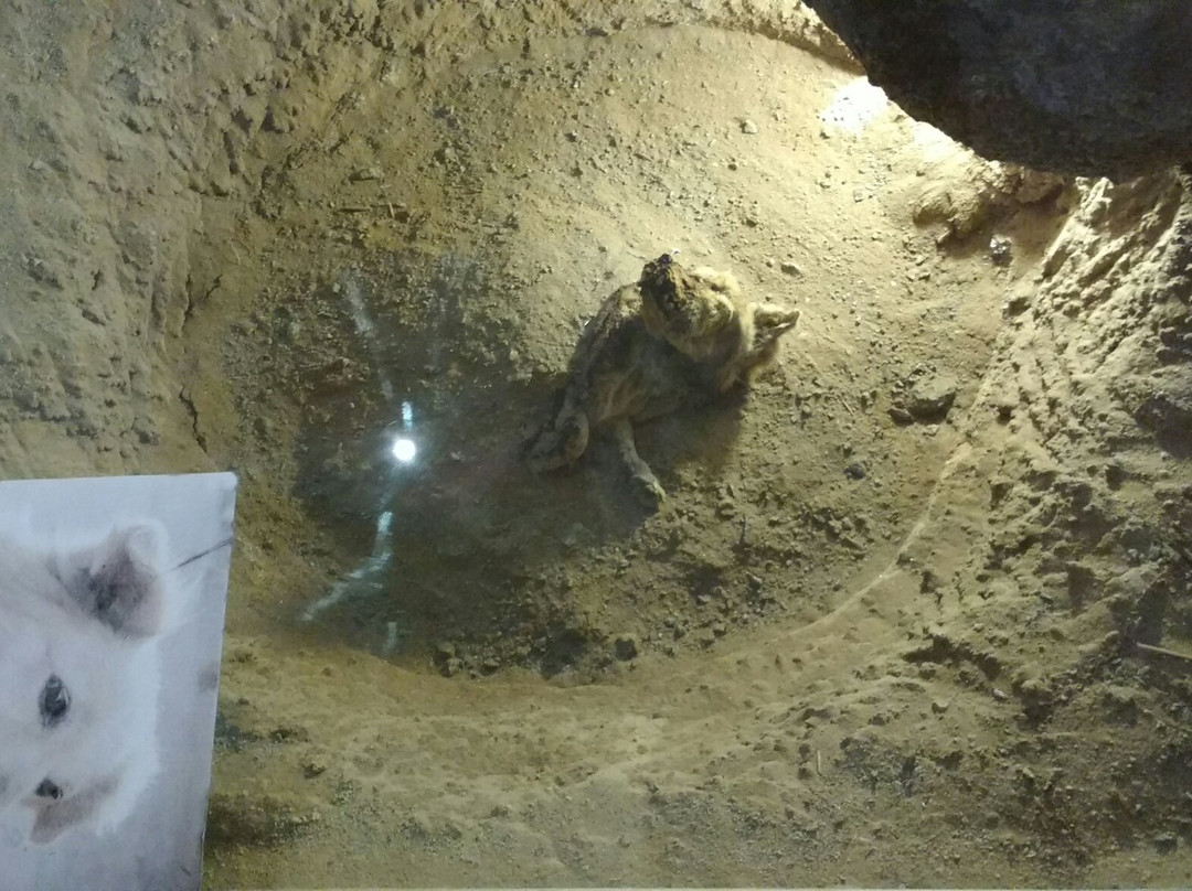 Museo Chiribaya-Ilo必去景点