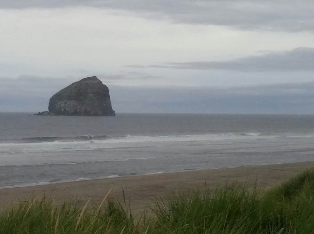 Bob Straub State Park-太平洋城必去景点
