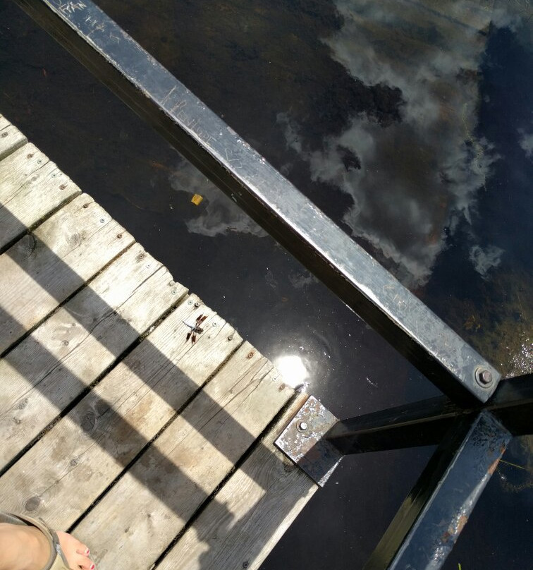 Sifton Bog-伦敦必去景点