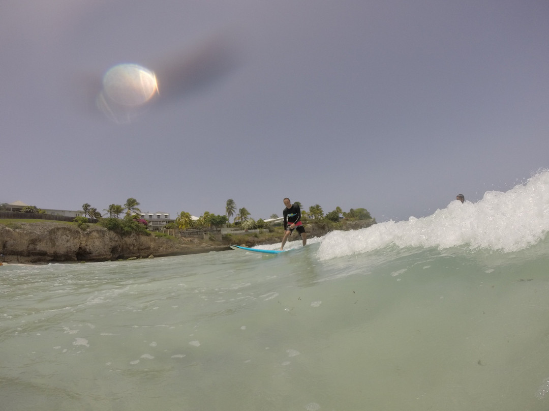 Paradise Surf School-Worthing必去景点