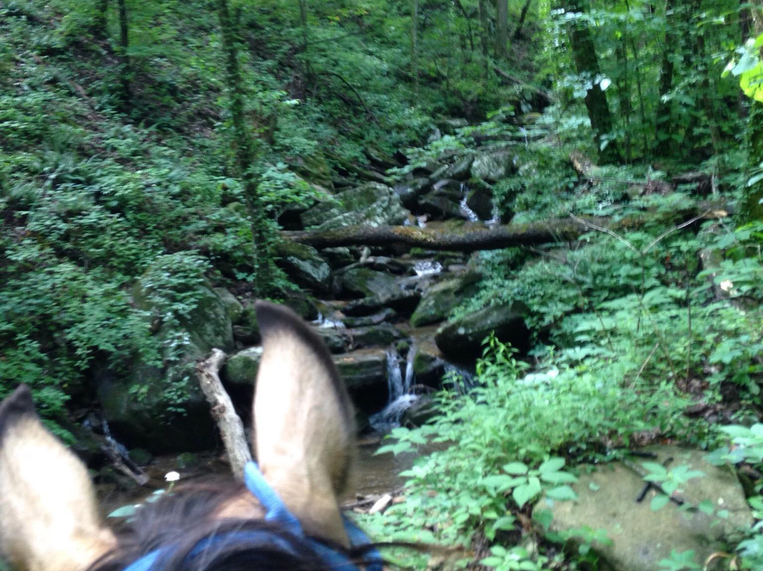 Fort Mountain Stables-Chatsworth必去景点