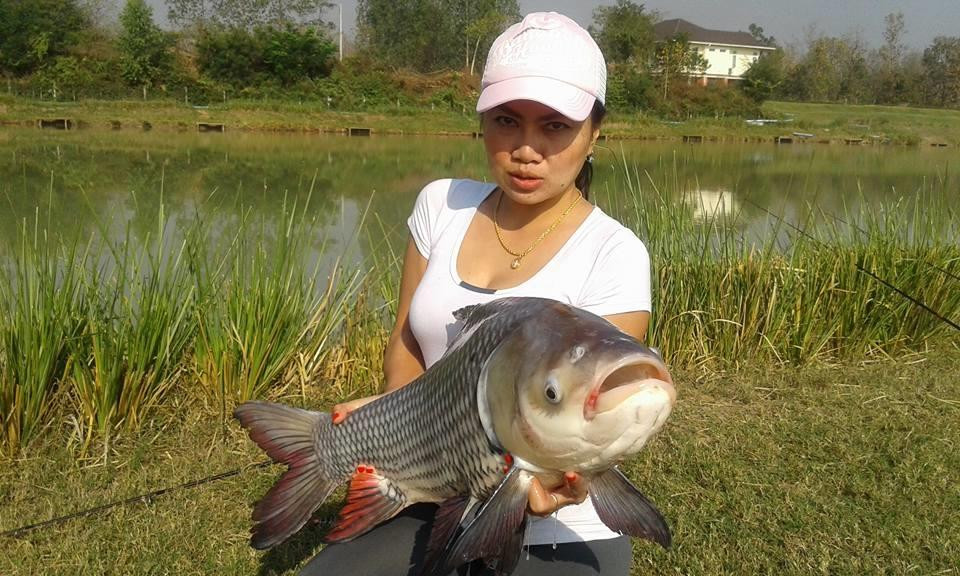 Nong Bua Lam Phu Fishing Park-农磨喃蒲必去景点