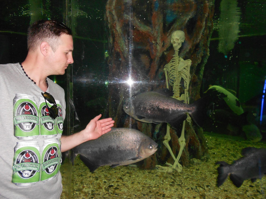 Anapskiy Okeanarium-阿纳帕必去景点