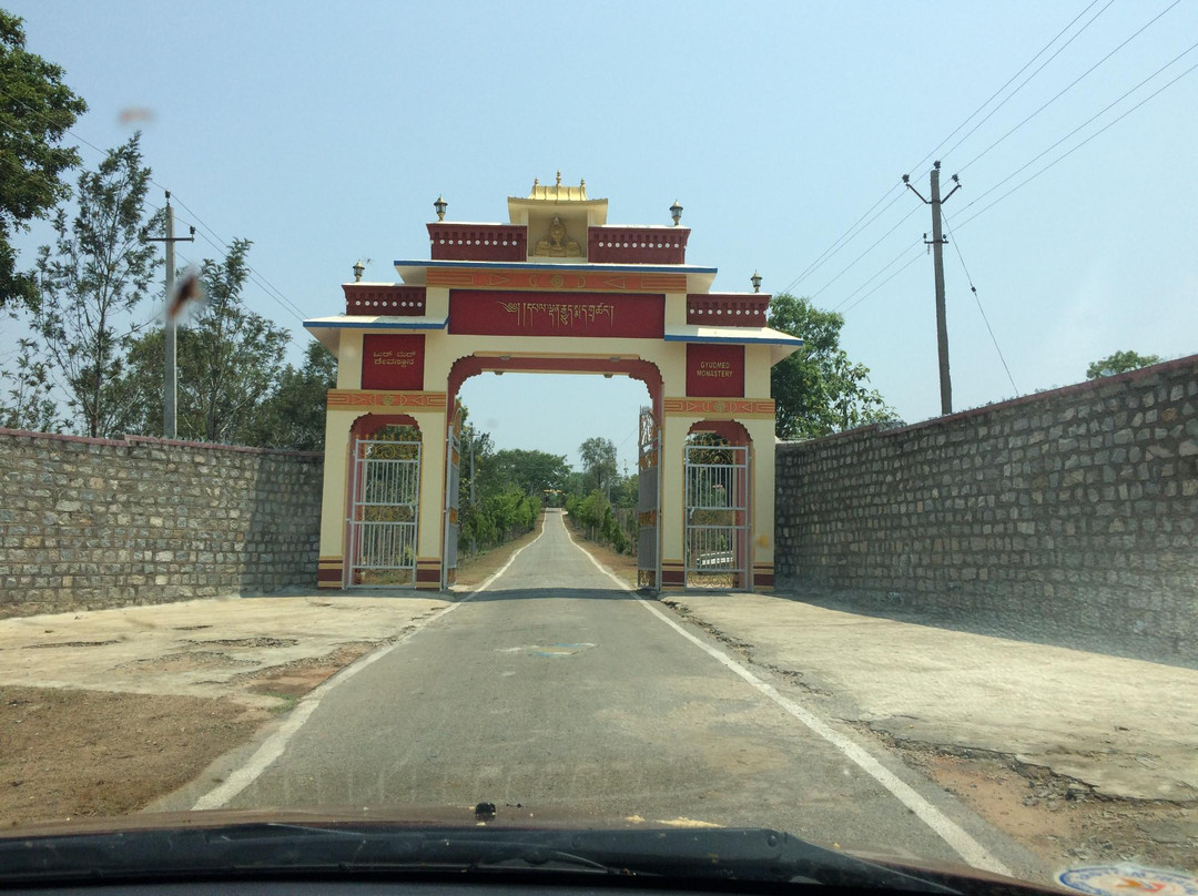 Gyudmed Tantric Monastery景点图片