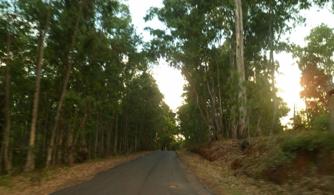 Lagos del Norte-Rivera必去景点