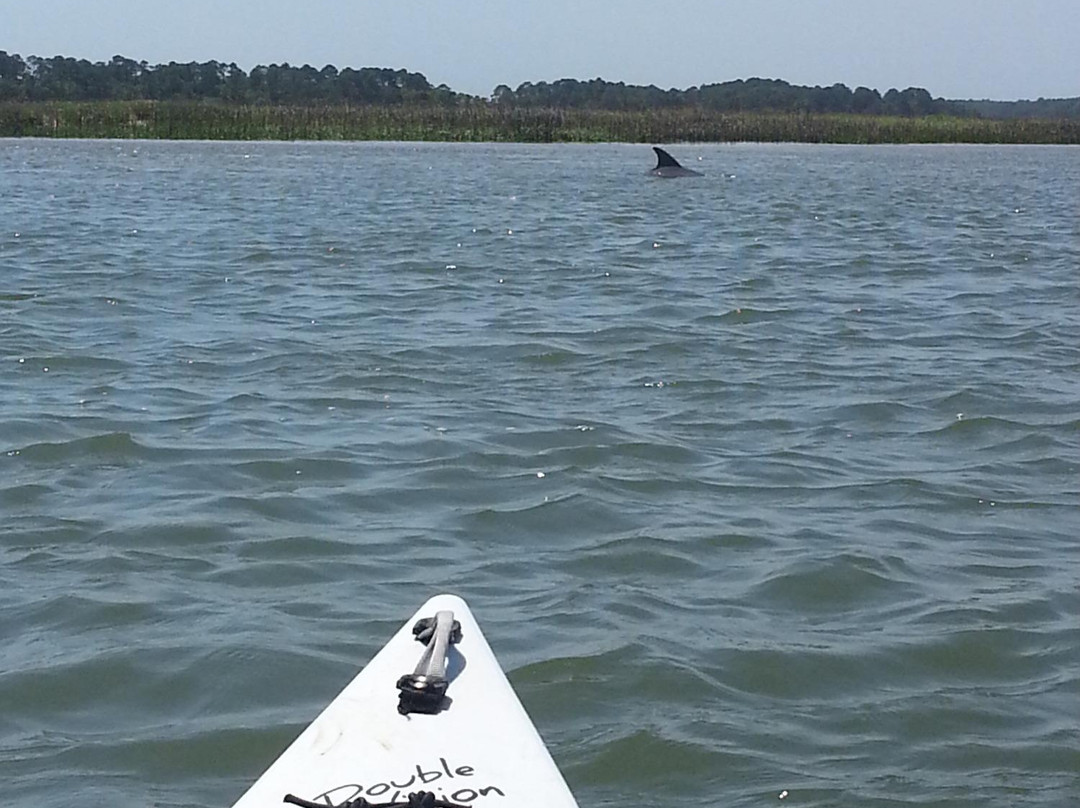 The Kayak Farm-Saint Helena Island必去景点