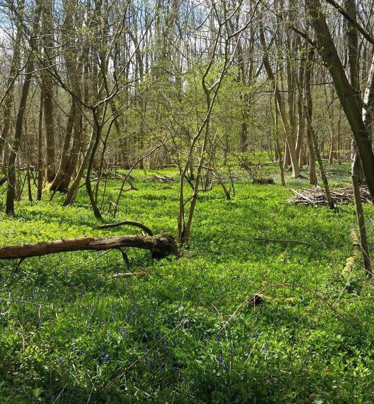 Warburg Nature Reserve景点图片