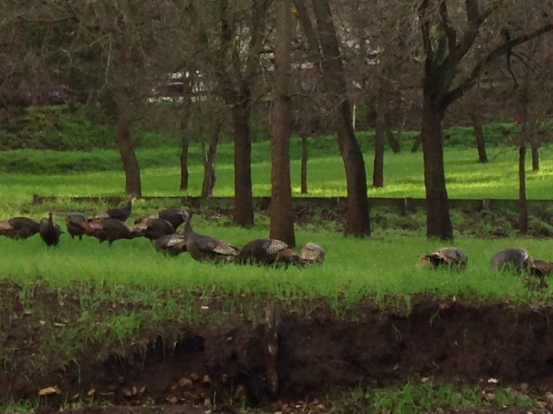 Contra Costa Canal Trail-康科德必去景点