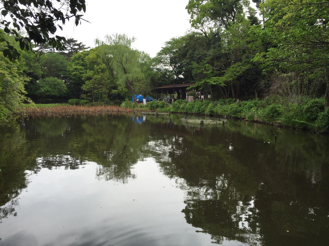 Fujisaki Shinrin Park-习志野市必去景点