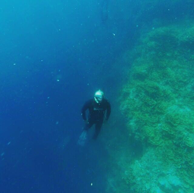 Freediving Philippines-莫阿尔博阿尔必去景点