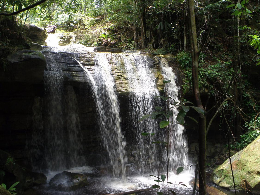 Cachoeira de Sussuarana-Presidente Figueiredo必去景点