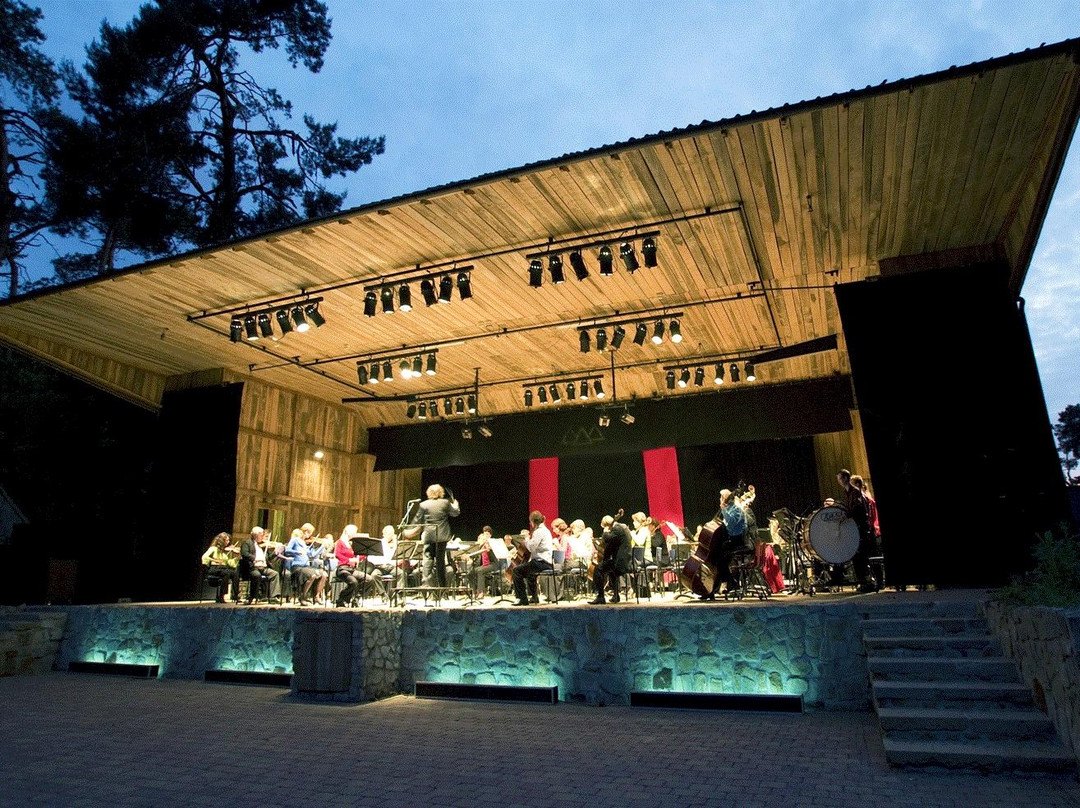 Openluchttheater Brilmansdennen景点图片