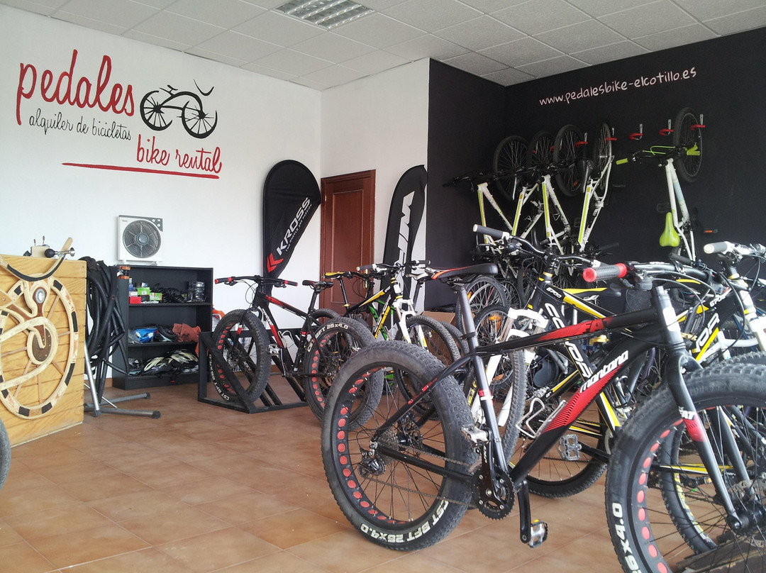 Pedales Bike Rental景点图片