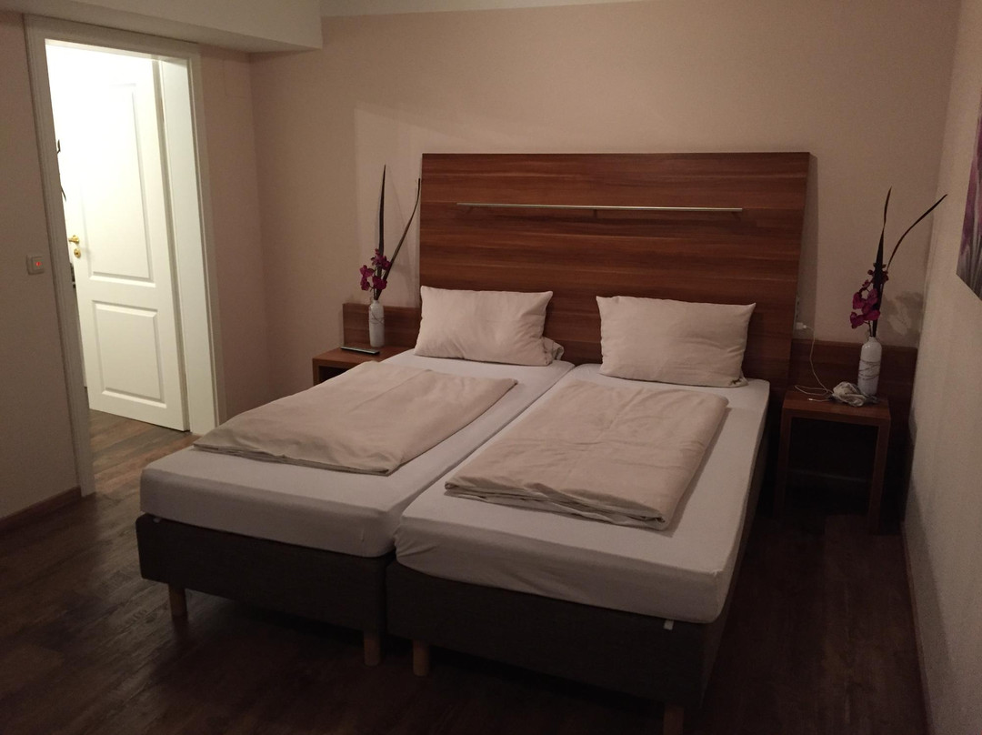 Hotel Maierbräu Altomünster主图