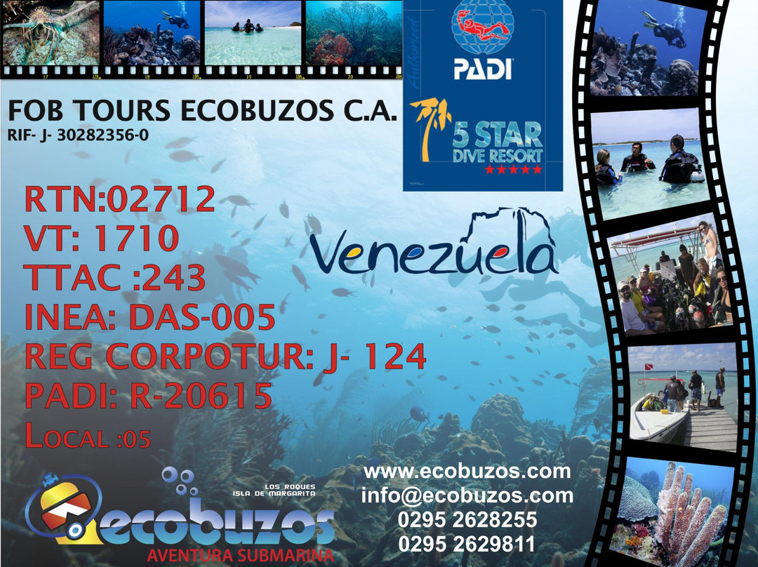 Ecobuzos Los Roques景点图片
