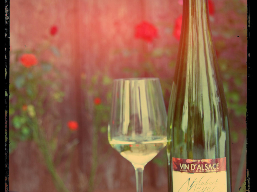 Domaine Hubert Meyer景点图片