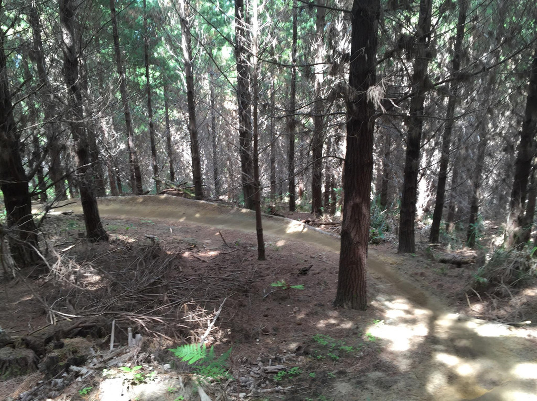 Woodhill Mountain Bike Park景点图片