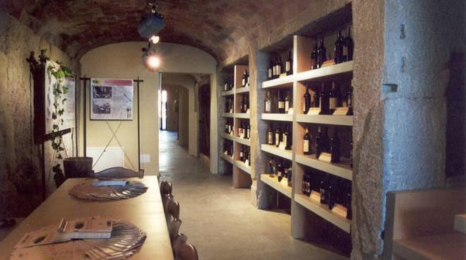 Museo Archeologico e della Vite e del Vino景点图片