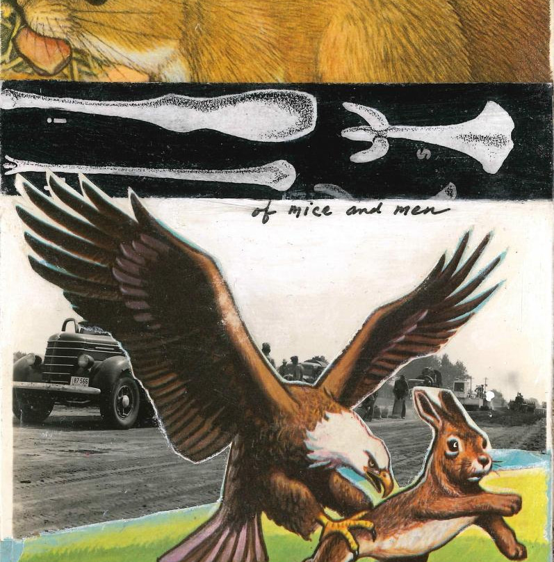 Lawrence Public Library-劳伦斯必去景点