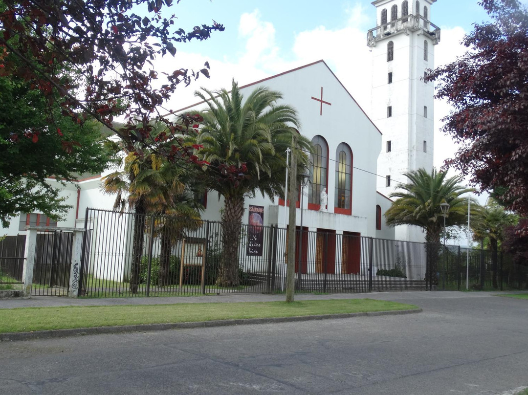 Catedral de Villarrica-比亚里卡必去景点