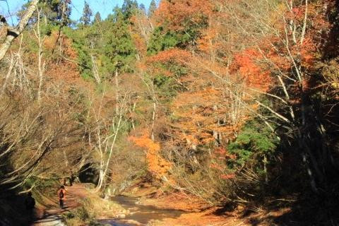 Senshinkyo Valley-尾花泽市必去景点