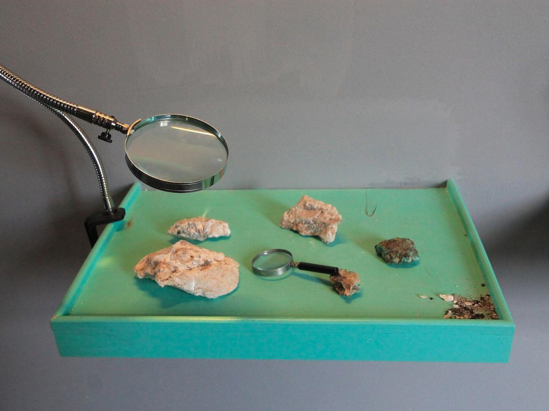 MUM - Museo Mineralogico e Gemmologico  Luigi Celleri景点图片