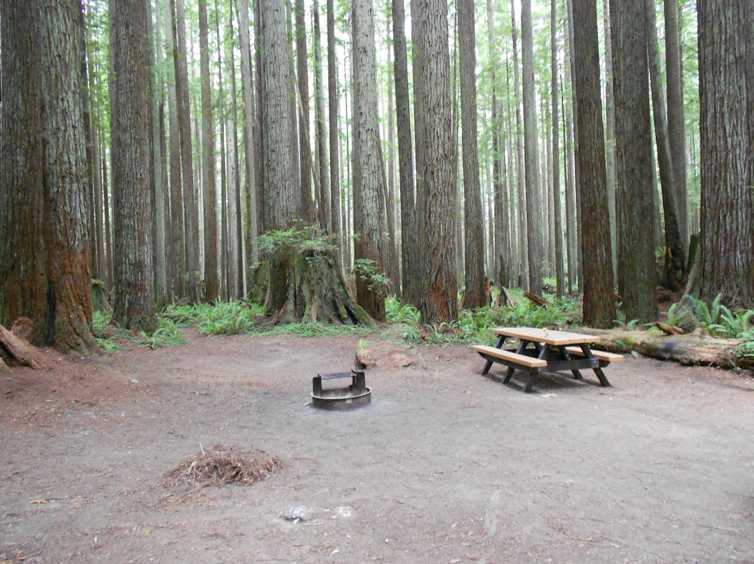 Florence Keller County Park & Campground景点图片
