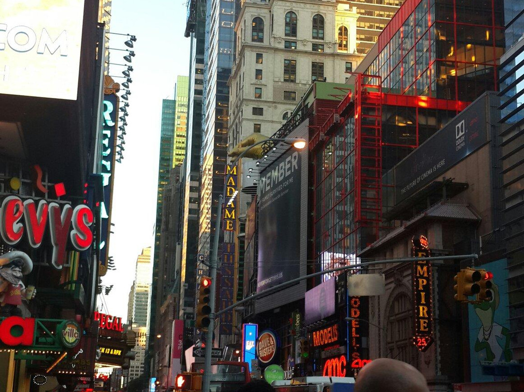 Hell's Kitchen & Clinton Dog Run-纽约市必去景点