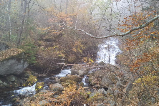 Yachiho Highland Natural Garden-佐久穗町必去景点