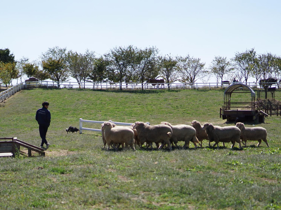 Agroland Taesin Farm-唐津郡必去景点