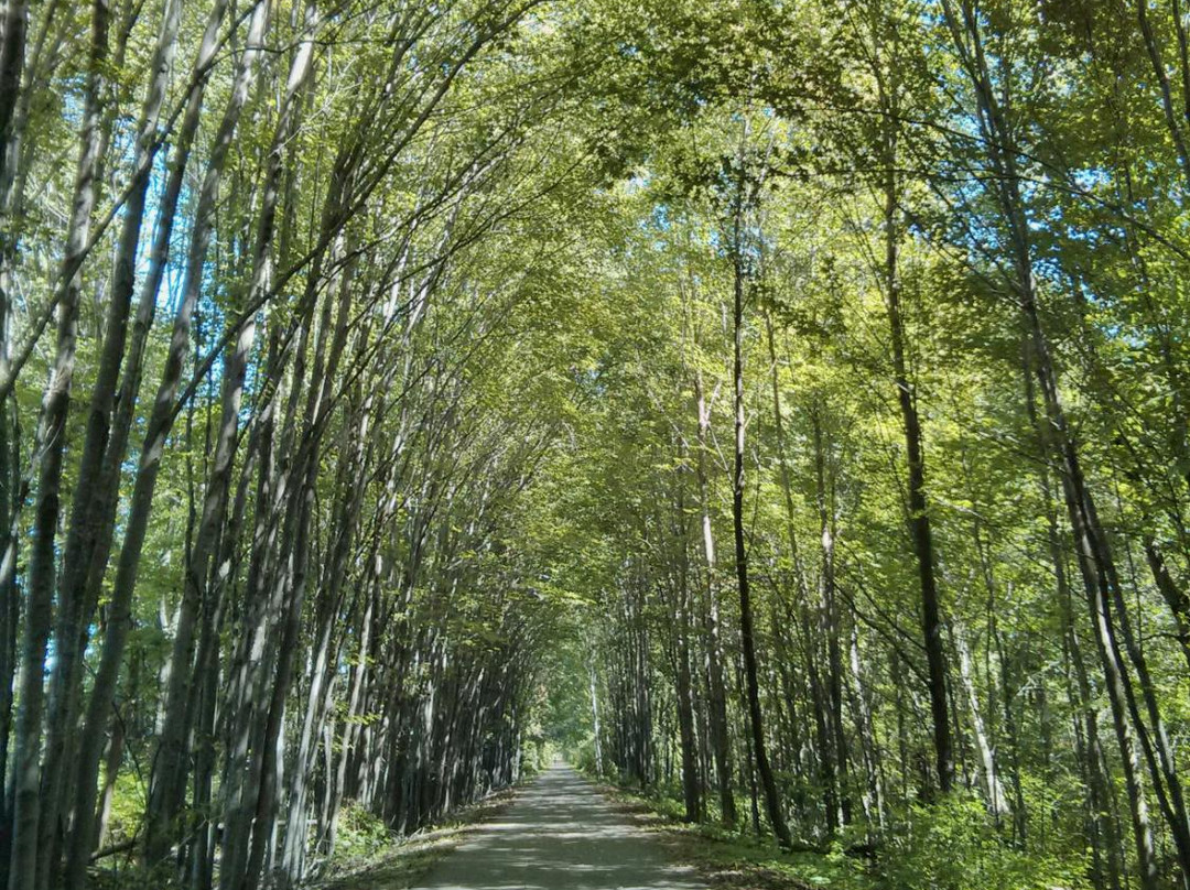 Macomb Orchard Trail-Richmond必去景点