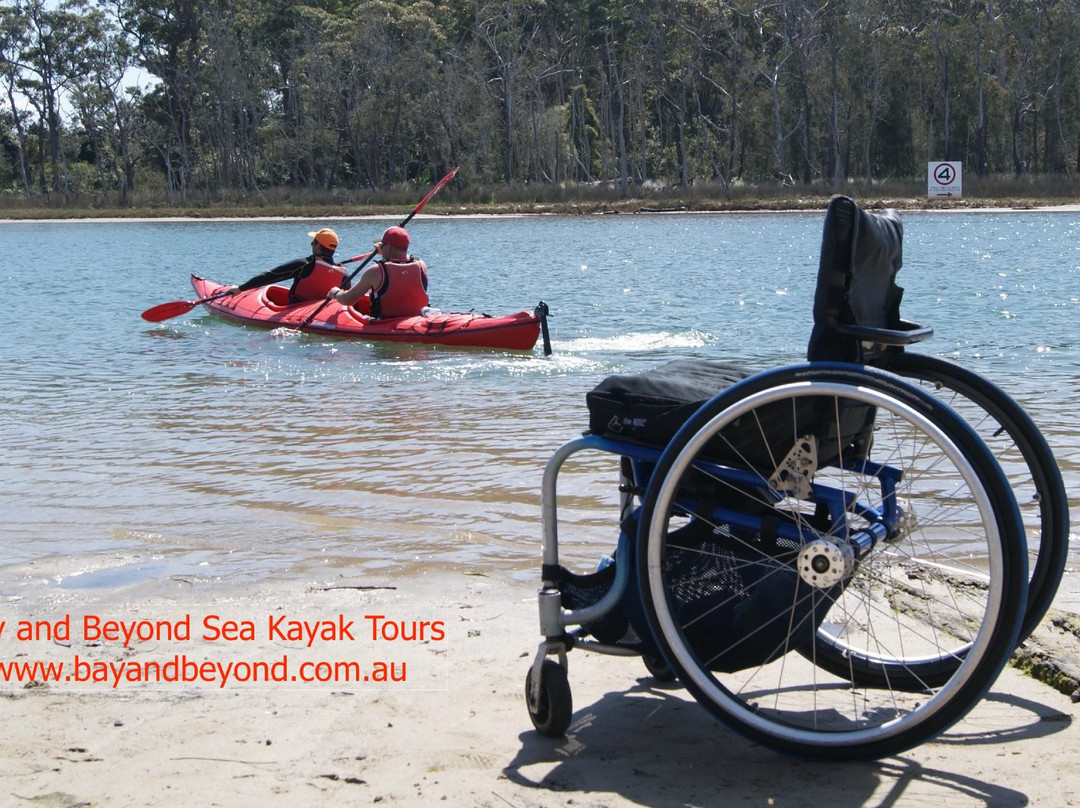 Bay and Beyond Sea Kayak Tours景点图片