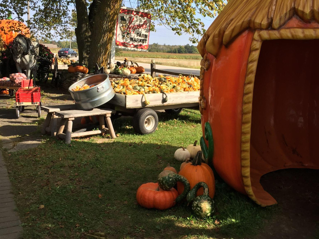 Koepsel's Farm Market-Baileys Harbor必去景点