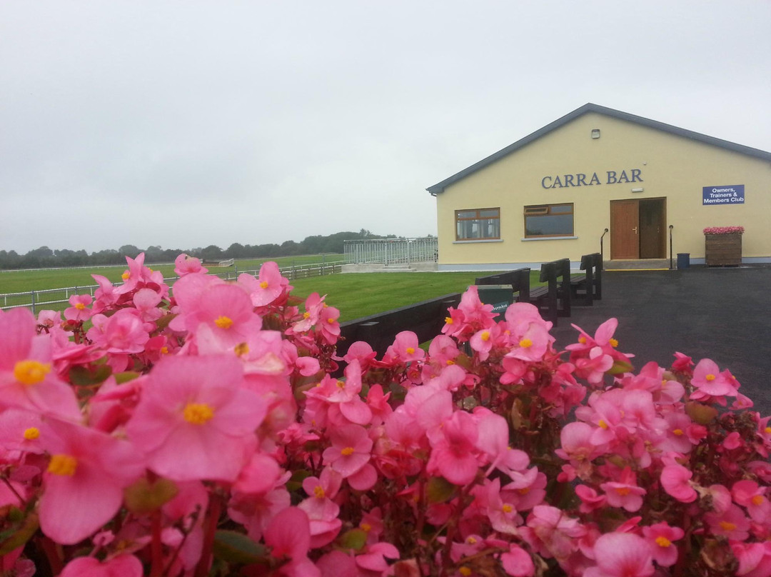 Ballinrobe Races-Ballinrobe必去景点