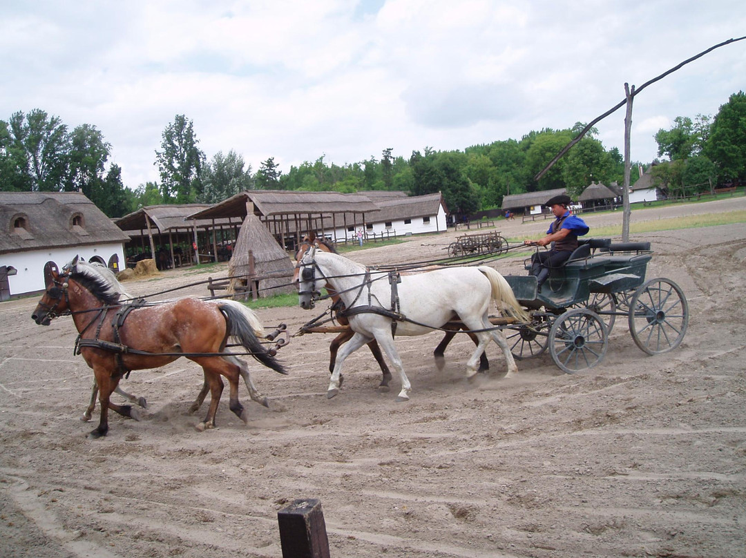 Varga Tanya Horse Show景点图片