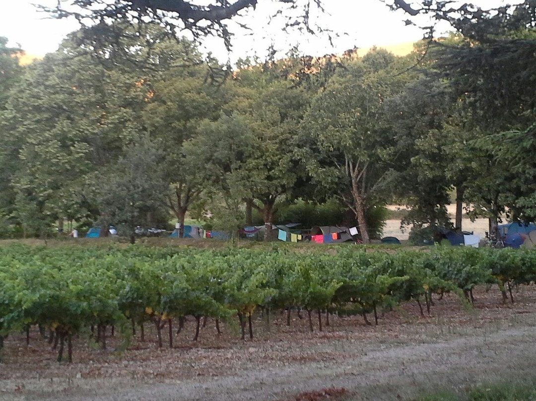 Camping de Coucouzac主图