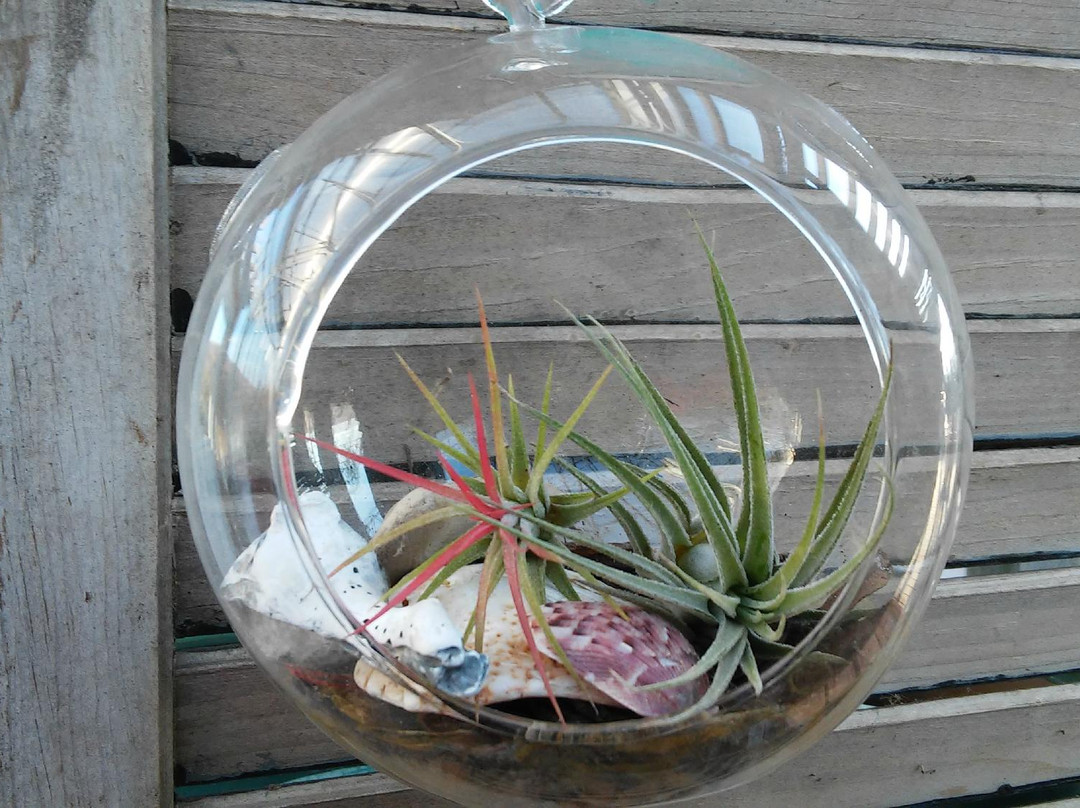 Natural Art Garden Center-Toms Brook必去景点