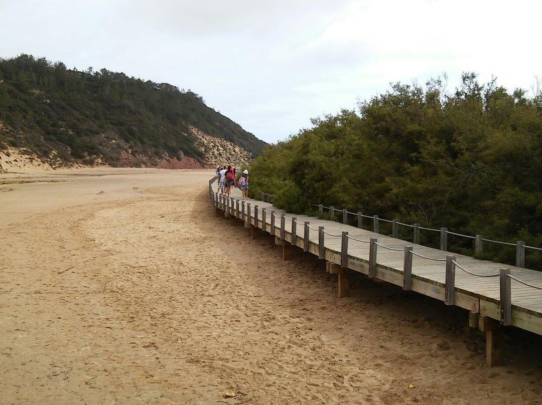 Passadiços da Baía de São Martinho do Porto-Sao Martinho do Porto必去景点