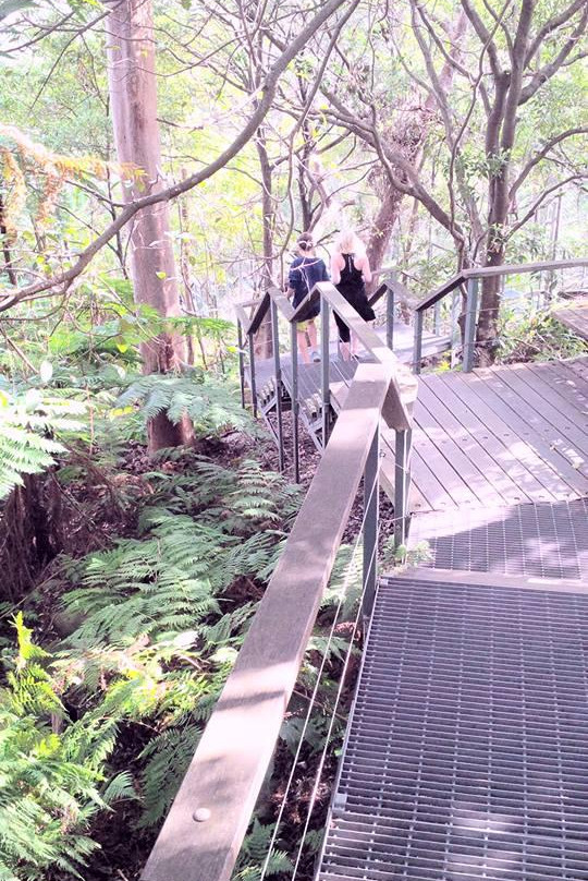 Walking Trail To Chowder Bay景点图片