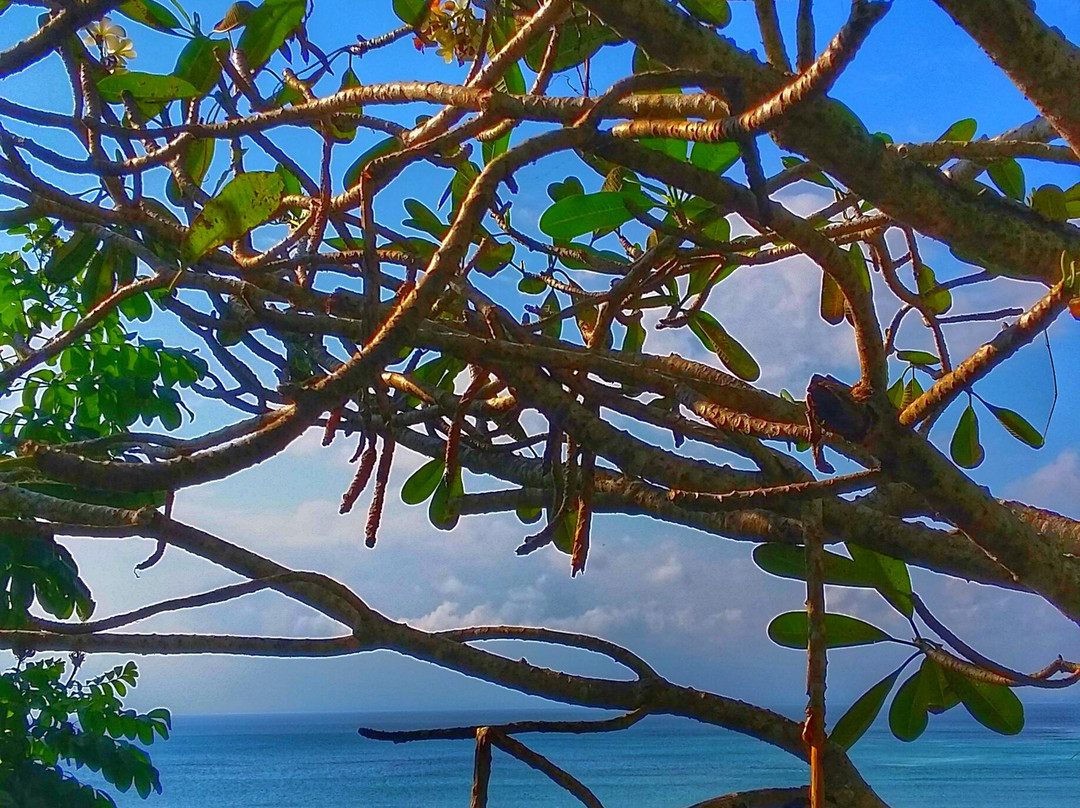 宾艮海滩-培卡图必去景点