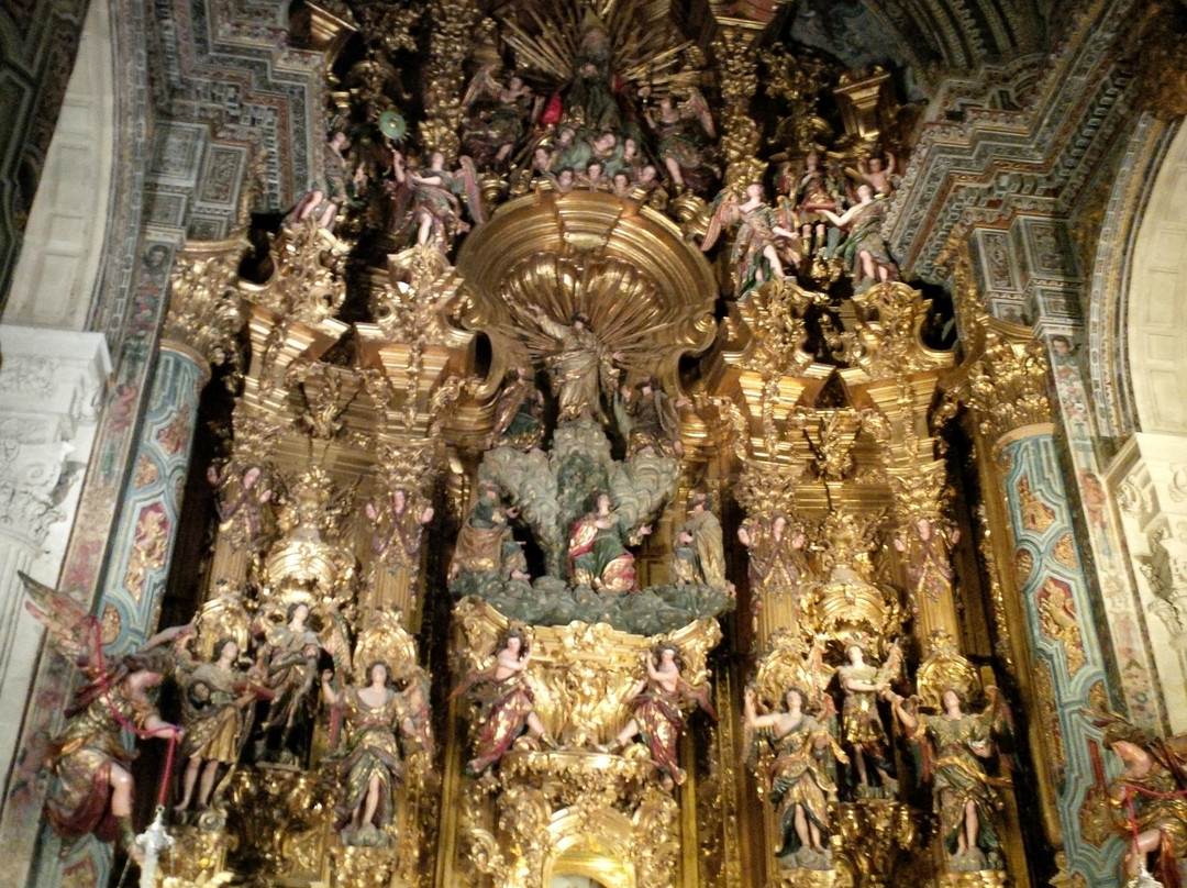 Conocer Sevilla Day Tours景点图片