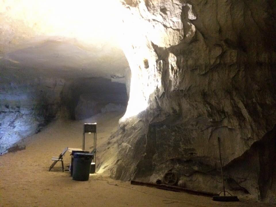 Crystal City Underground-Crystal City必去景点